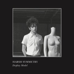 harsh symmetry - pugilist