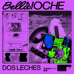 MX086 - DOS LECHES