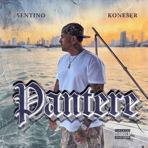 Sentino-Pantere (OG)