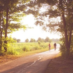 summer 4am