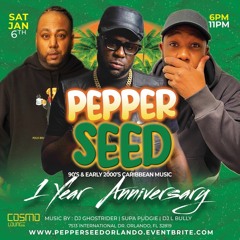 Pepperseed Orlando Ft Dj Ghostrider & Supa Pudgie At Cosmo 1.6.24