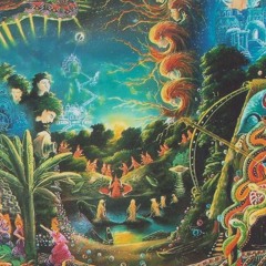 Ayahuasca: A Higher View