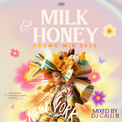 Milk & Honey NYC 2025 Summer Promo Mix