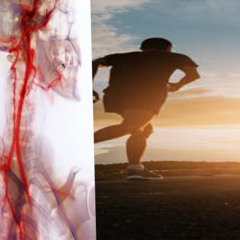 omgitskodi on go prod judah + benjicapone