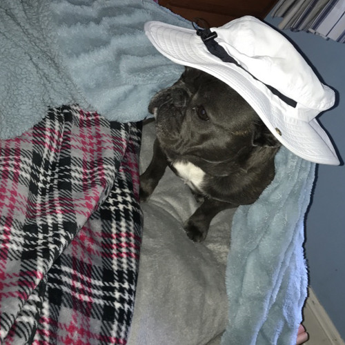 Stream Butterfly Effect (Travis Scott x Quavo x Drake hi by Nolan C