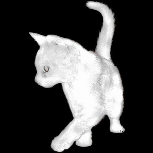 vance ioy - riptide // sped up