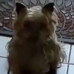 post malone cut n paste edit