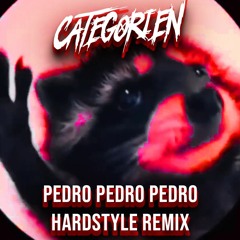 PEDRO - Jaxomy, Agatino Romero, Raffaella Carrà (TikTok Song) CategorieN Hardstyle Remix