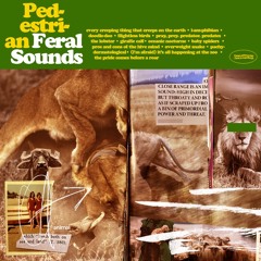 feral sounds