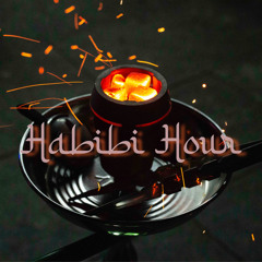 Habibi Hour - Episode 2 (11.12.23)