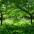 Artwork for Almqvist, uplifting background music FREE DOWNLOAD