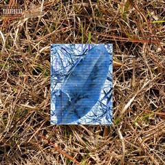 30 Thrax (feat. Daddy Trav & McCandles)