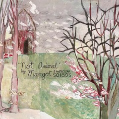 broadripple is burning - margot and the nuclear so and so's cover