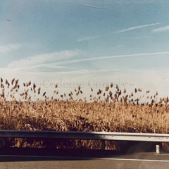 Make Believe (Bonus Track)