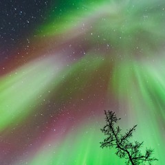 The Astral Plane