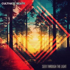 Seen Through The Light