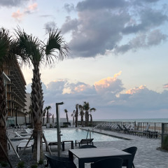 none_of_its_truei_dont_believe_you (1)