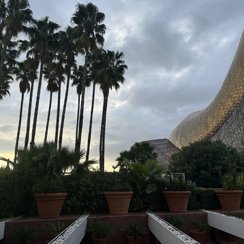 01 REC - 2022 - 11 - 23Nov Barcelone