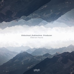 Oldschool Dubtechno .Producer - Scottish Fold Cat (Original Mix)
