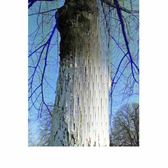 Movement Between Cycles