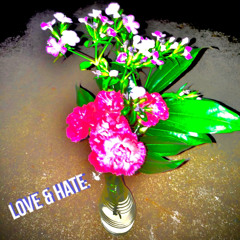 Love & Hate