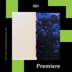 PREMIERE: Night Talk - Fearless Echo [Ocultismo]