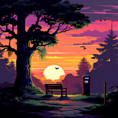 nice evening