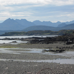 Extraction (MCTheDog extended remix feat. Qess and Dosem)