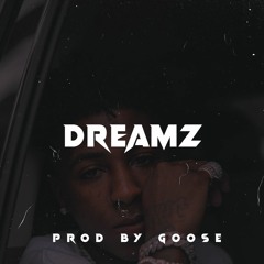 [FREE] NBA YOUNGBOY x ROD WAVE Type Beat "Dreamz" (Prod By Goose)
