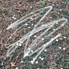 завжди хворий