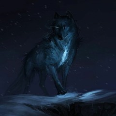 LOBO D'ÁGUA (DRILL) PRÉVIA - PROD. @FLOWDEALCATEIA *