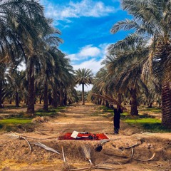 Nakhlestan