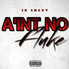 1k Shevy - A'int No Fluke