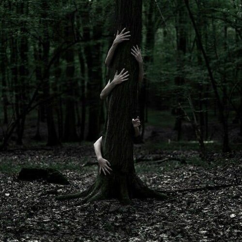 Lemon Paradise - Ritual Witches in the Forest
