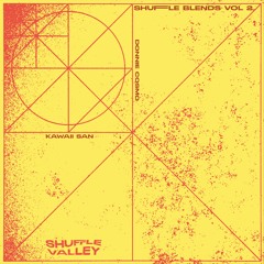 PREMIERE: Donnie Cosmo - House On Asteroids [Shuffle Valley]