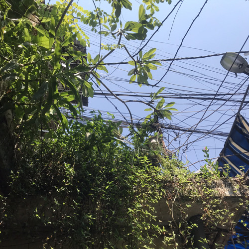 thư cho em trong một đêm mưa buồn sì sị ông ba bị