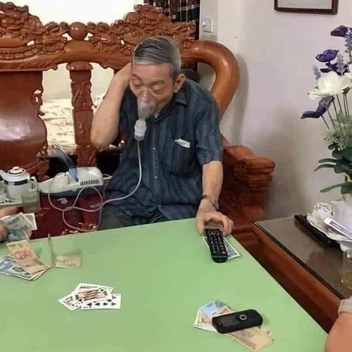 (Tết 2024 #1)