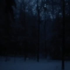 dark snowy night