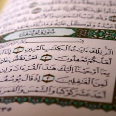 سورة يوسف تلاوة للقارئ صلاح الباجي - Some ayat of surah yusuf recited by Shaykh Salah Al Baji