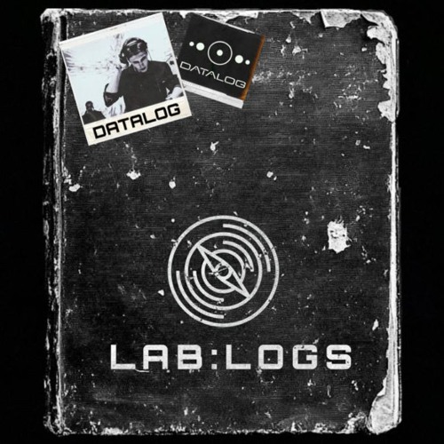 LAB:LOGS File No. 8 - Datalog