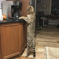 Religion (for Boys) (KAY FLOC EDIT)