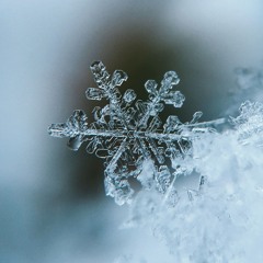 Merry Christmas❄️