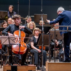 "Harpyia" concerto for cello and orchestra (2024)