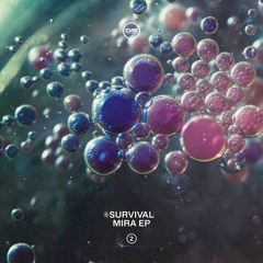 Survival - Up In The Dance - DISSUVIP002 (OUT NOW)