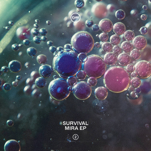 Survival - Ready