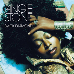 Life Story (Booker T Vocal Mix)