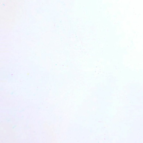 How Far Can We Go (Loop)