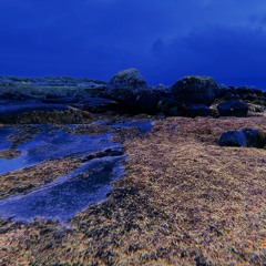 when i'm feeling green and blue (prod. daniel.mp3 & Death)