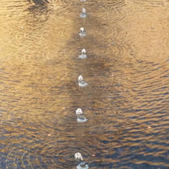 Sweet Little Contradiction