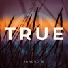 Descargar video: True (Radio Edit)